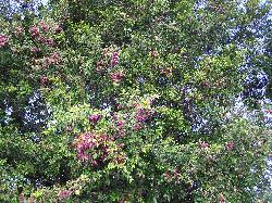 Image: Jonathan Boow © Jonathan Boow 